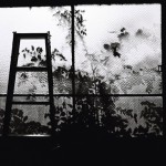Josiane Keller - ladder and leaf silhouettes