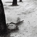 Josiane Keller - nothing will ever grow here again