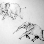 Josiane Keller - two grey elephants tattoo design