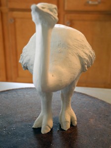 Ostrich toes