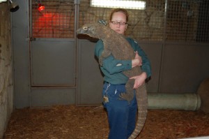 STHA Field Trips - Becky and the Komodo dragon