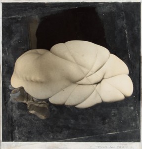 Hans Bellmer tenir au fraise