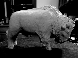 Cookie's buffalo
