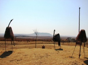 photo by Heather Mason - ostrich sculptures at Makiti Art Gallery, Warden South Africa