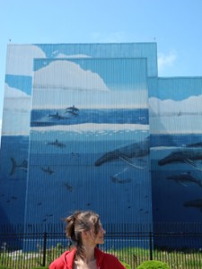 Wyland - Song of Whales Whale Wall No75 in Cleveland