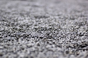 Ai WeiWei - Sunflower Seeds at Tate Modern