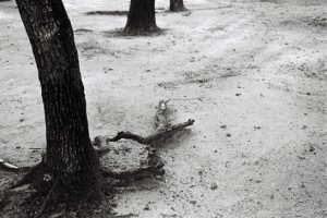 Josiane Keller - nothing will ever grow here again