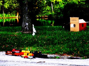 set-up for Basha's picture with trains