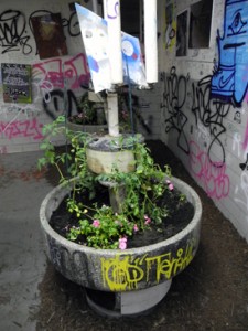 Cleveland Heights Kids - flowers