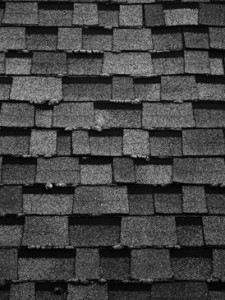 Josiane Keller - slates on a roof seen from Pippa's apartment