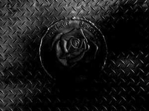 Josiane Keller - rose in the City of Roses