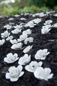 Clare Twomey Blossom roses