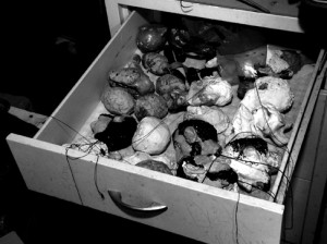 Josiane Keller - a drawer of Lincoln heads