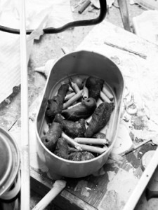 Josiane Keller - small puppet bits in a bento box