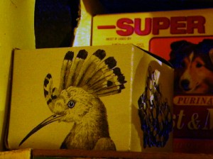 Josiane Keller - a bird and a dog - SUPER
