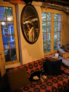 Josiane Keller - Mike Bradley reflection and cat on the sofa