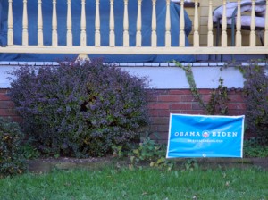 Josiane Keller - Obama-support-sign in front of a poor house in Cleveland