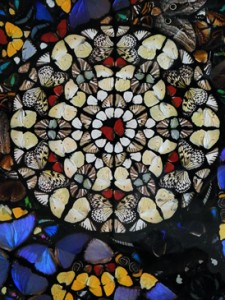 Josiane Keller - Damien Hirst detail 1