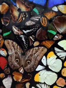 Josiane Keller - Damien Hirst detail 3