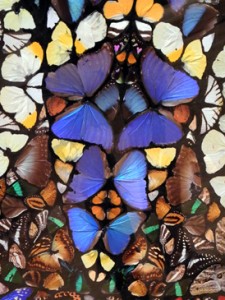 Josiane Keller - Damien Hirst detail 4