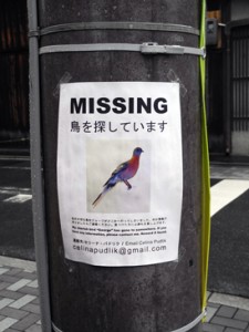 Josiane Keller - Celina Pudlik MISSING