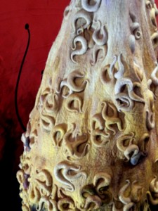Shinya - plant (detail)