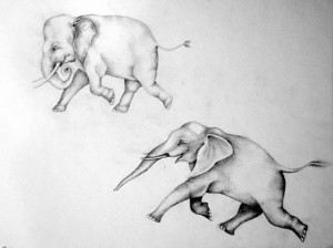 Josiane Keller - two grey elephants tattoo design