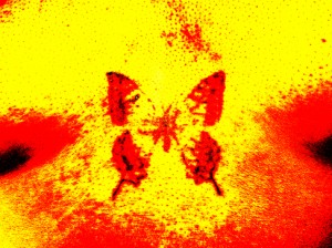 Josiane Keller - butterfly tattoo 1st stage