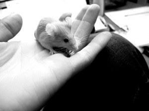 Josiane Keller - Karkulka