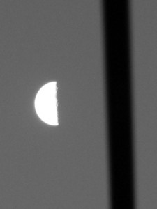 Josiane Keller - Half Moon