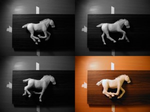 Josiane Keller - Sallie Gardner at a Gallop (2013) - 3.jpg