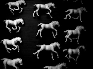 Josiane Keller - Sallie Gardner project - 16 Sallies running free