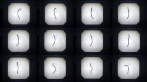 Josiane Keller - 12 earth worms