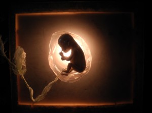 Josiane Keller - creepy Eileen on lightbox