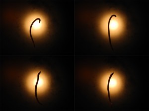 Josiane Keller - earth worm test shot 3 quad