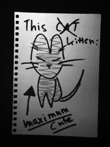 Cute kitten - the cutest kitten