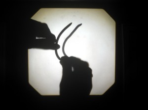 Josiane Keller - working on earth worm footage