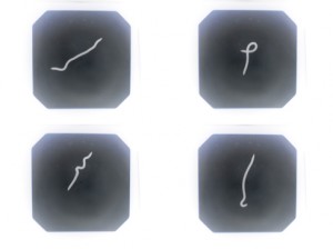 Josiane Keller - four white worms on black