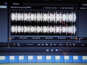Josiane Keller - timeline elephant song for swing clip