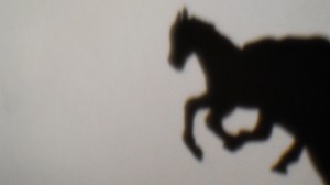 Josiane Keller - The Making of Sallie Gardner running at a Gallop 2013