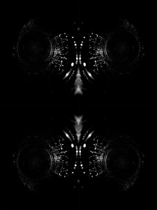 Josiane Keller - head of a fly