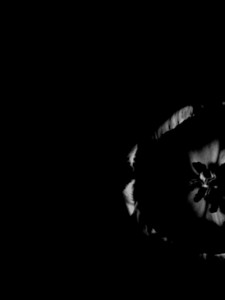 Josiane Keller - flower