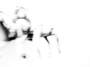 Josiane Keller - two horses