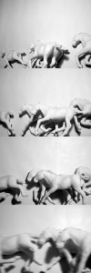 Josiane Keller - herd of horses running - test pics
