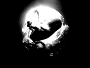 Josiane Keller - fetus