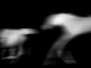 Josiane Keller - running horses 2