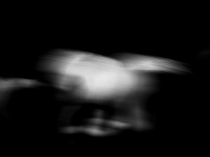 Josiane Keller - running horses 3