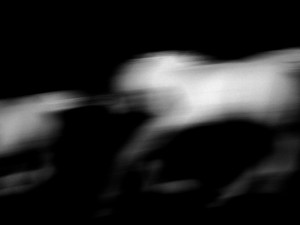 Josiane Keller - running horses 4