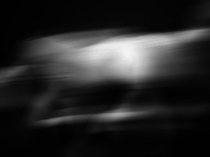 Josiane Keller - horses running 8