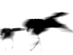 Josiane Keller - running horse black on white 4